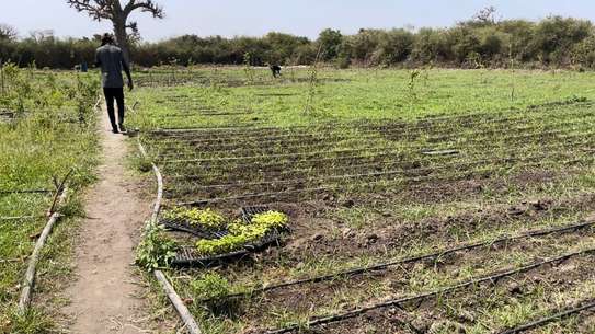 Terrain 1 hectare a sebiponty ndoyene image 3