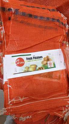 Vente sacs oignon ou pomme de terre image 1