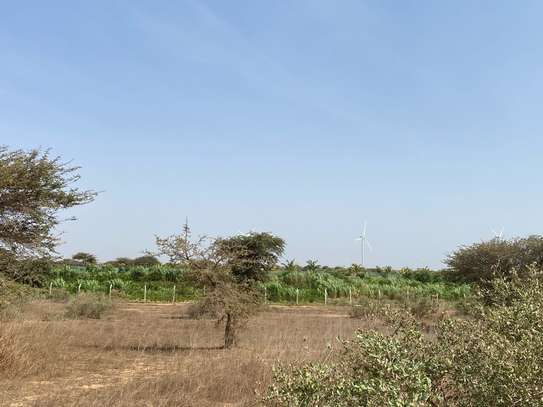 Lots de terrains de 500m2 à vendre pour usage agricole image 2