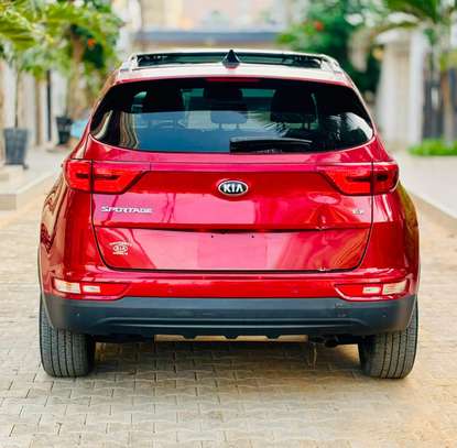 Kia Sportage image 5