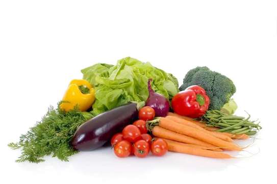 Notto agro-fournisseur image 9