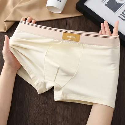 Boxers homme 100% cotton lot de 5 pièces image 5
