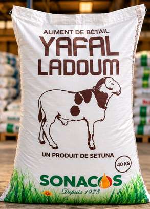 Aliments bétail YAFAL image 7
