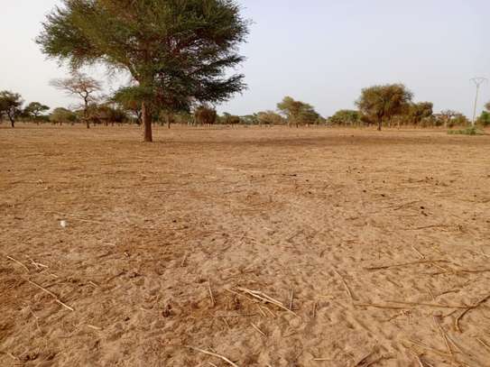 Location de Terrain Agricole de 3,48 ha vers  Saint – Louis image 2