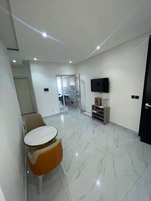 Appartement 30m² moderne lumineux avec cuisine ouverte image 3