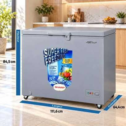 CONGELATEUR 400LITRES SHARP HORIZONTAL GRIS SCFK400XLSL2 image 4