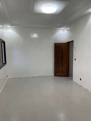 Bel appartement à nord foire (derrière Boa) image 8
