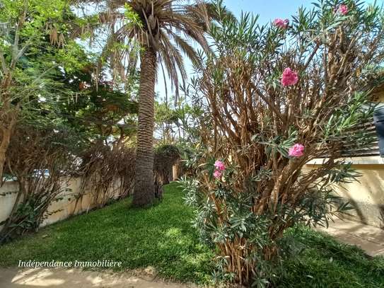 DAKAR ALMADIES : Terrain à vendre 980 m2 – TF image 5