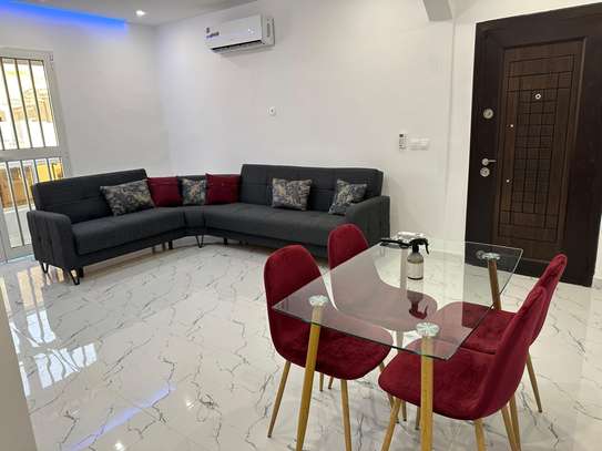 Appartement meublé au centre ville plateau image 11