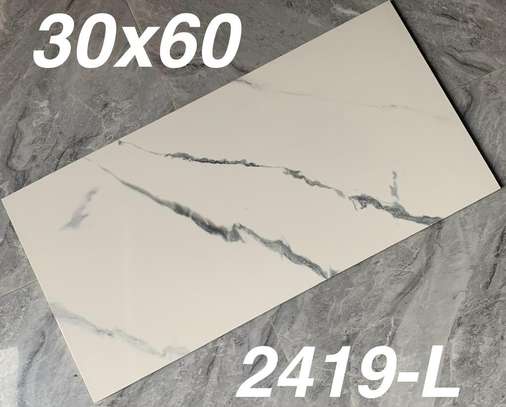 Carreaux 1m50x75 et 1m20x60, grès poly, parquet,... image 11