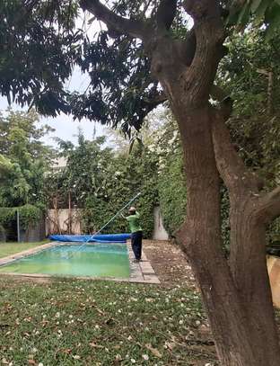 Magnifique Villa d'architecte avec jardin et piscine image 9