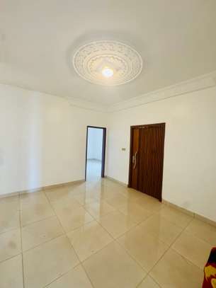 Appartement à louer Mermoz pyrotechnique image 5
