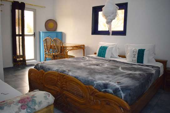 La Mimosa - Toubab Dialaw image 11