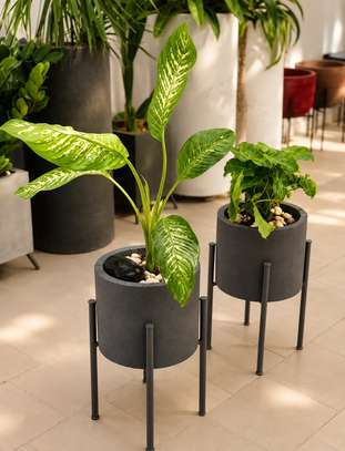 POT DE FLEURS image 3