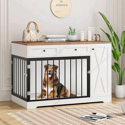 Cage Chien image 3