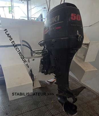 Vend bateau Péche et ballade moteur 50CV Injection 4 temps image 4