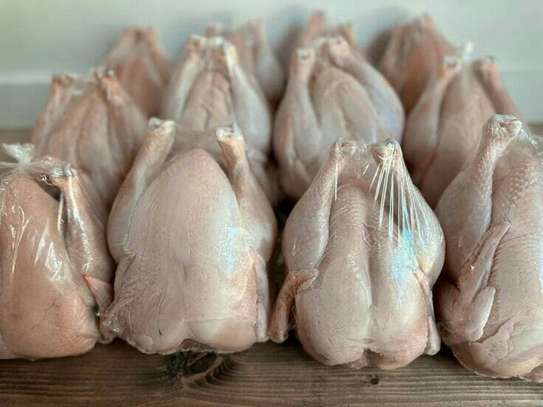 POULETS DE CHAIR image 2