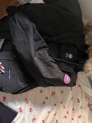 Canada goose image 3
