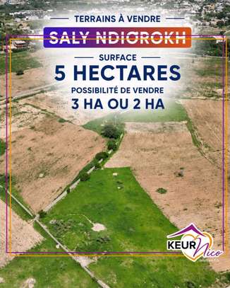 Terrain de 5 Hectares à vendre à Saly image 2
