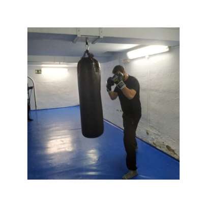 Everlast Gants de boxe Professionnel image 3