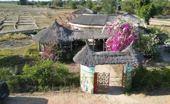 Campement La Casamance (ex-Alulum) image 2