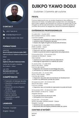 REDACTION DE CV PROFESSIONNEL ET LETTRE DE MOTIVATION. image 6