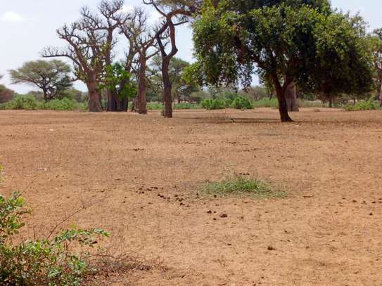 Terrain Agricole de 21,05 Hectares vers Thiénaba – Thiès image 4