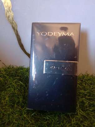 Yodeyma Cheante Eau de Parfum 100ml Paris image 2