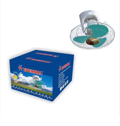 Je vends des ventilateurs de marque EVERNAL en gros image 3
