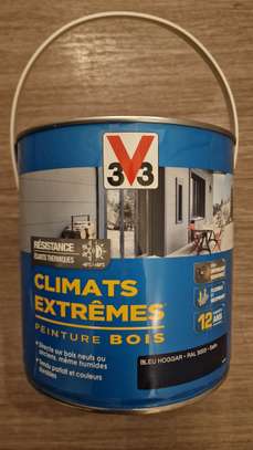 Des differents types de peinture image 7