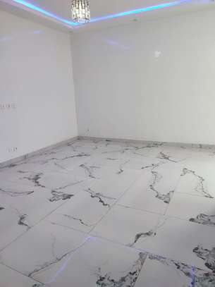 Bel appartement moderne aux Mamelles image 5