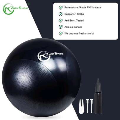 Ballon gym 500 lbs violet antidérapant taille standard image 5