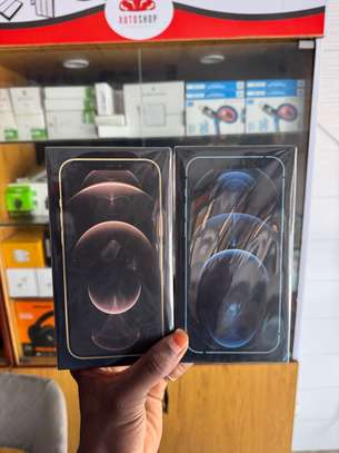 iPhone 12 Pro Max image 2