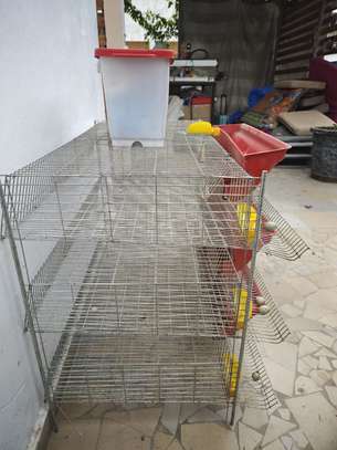 Cage d'élevage pour cailles 3 étages (Petit modèle) image 4