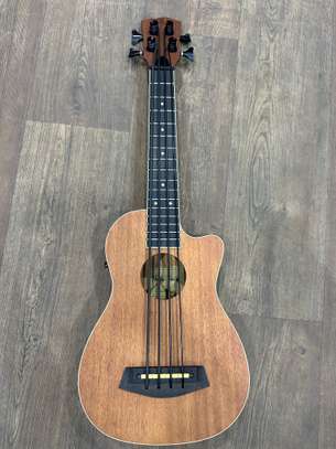 Guitare électrique et électroacoustique image 6