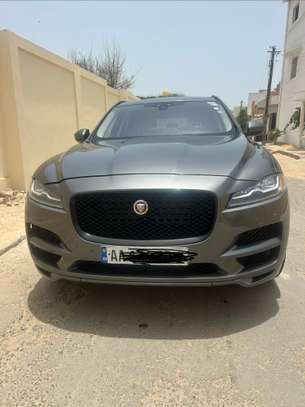 JAGUAR - PEACE ANNÉE 2017 image 4