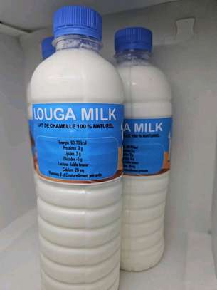 Lait de Chamelle Trésor du désert image 4