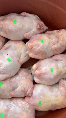 Poulet 2KG sur pied ou deplumé image 2