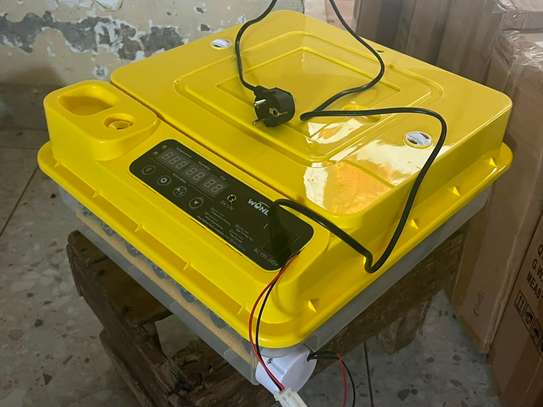 🐣 COUVEUSES AUTOMATIQUES WONEGG  ! 🐣 image 7