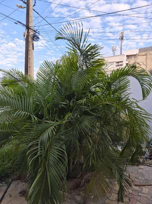 Belle villa avec cour avant à Mermoz image 6