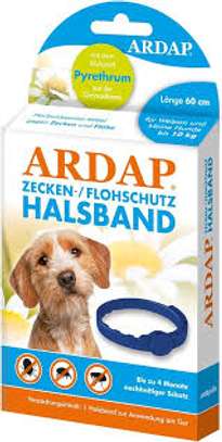 Ardap collier anti-puces 60 cm naturel 4 mois image 2