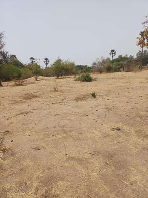 Verger 3ha à vendre à Ndianda Ngeuniène sur la route de joal image 8