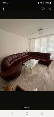 Meubles venant d'Allemagne cuir (new arrivage) image 10