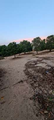Terrain de 7 Hectares Plats et Arborés à bambilor image 10