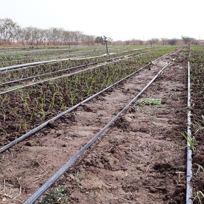 Parcelle de 18 hectares à vendre entre Thiès et Sindia image 4