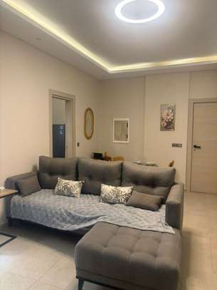 Appartement F2 meublé situé à louer image 9