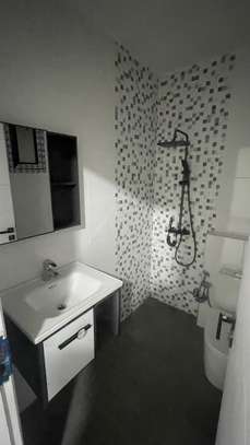 APPARTEMENT A LOUER MERMOZ PYROTECHNIQUE image 5