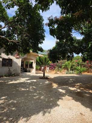 Maison à louer image 3