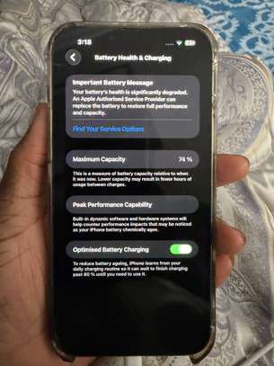 iPhone 13 Pro Max 512 GB image 3