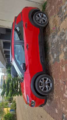 C4 Cactus 2021 image 3